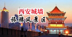 抽插美女小穴屁股乳房骚穴视频中国陕西-西安城墙旅游风景区